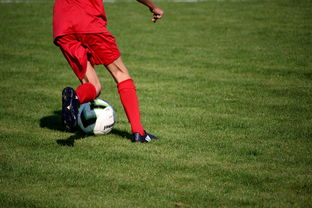 开yun官网-俱乐部青训体系与职业联赛脱节，俱乐部青训有工资吗